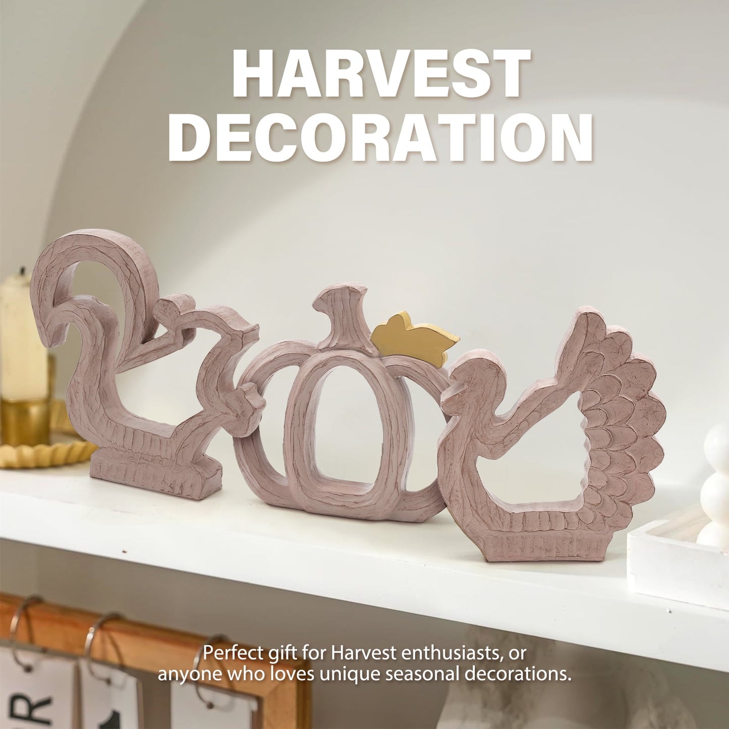 Ayieyill Fall Decorations for Home, Thanksgiving Decorations Pumpkin Decor Turkey Decor Resin, 3pcs Wood