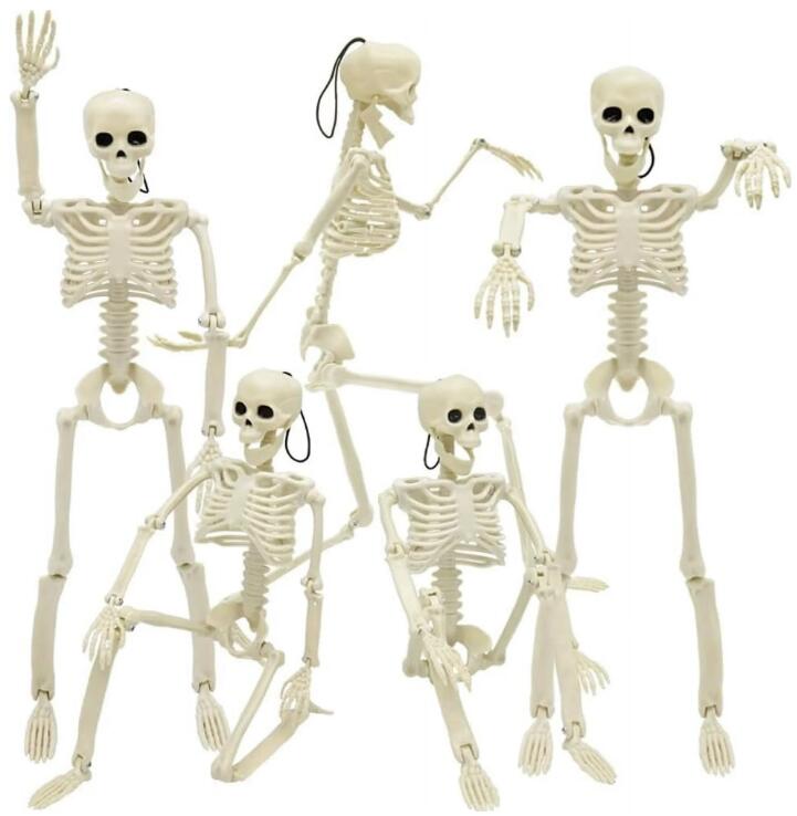 Ayieyill 2pcs Skeleton and Dog Skeleton Halloween Decorations Posable Skeletons Halloween Decorations Indoor Outdoor