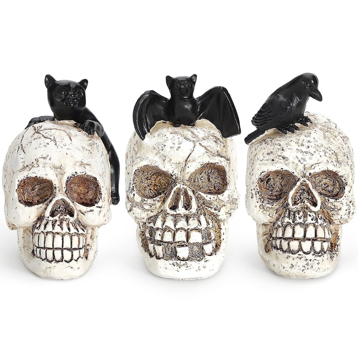 Ayieyill 3pcs Skull Halloween Decorations Indoor Skull Decor Halloween Figurines Cat Bat Raven Skulls Halloween Decor