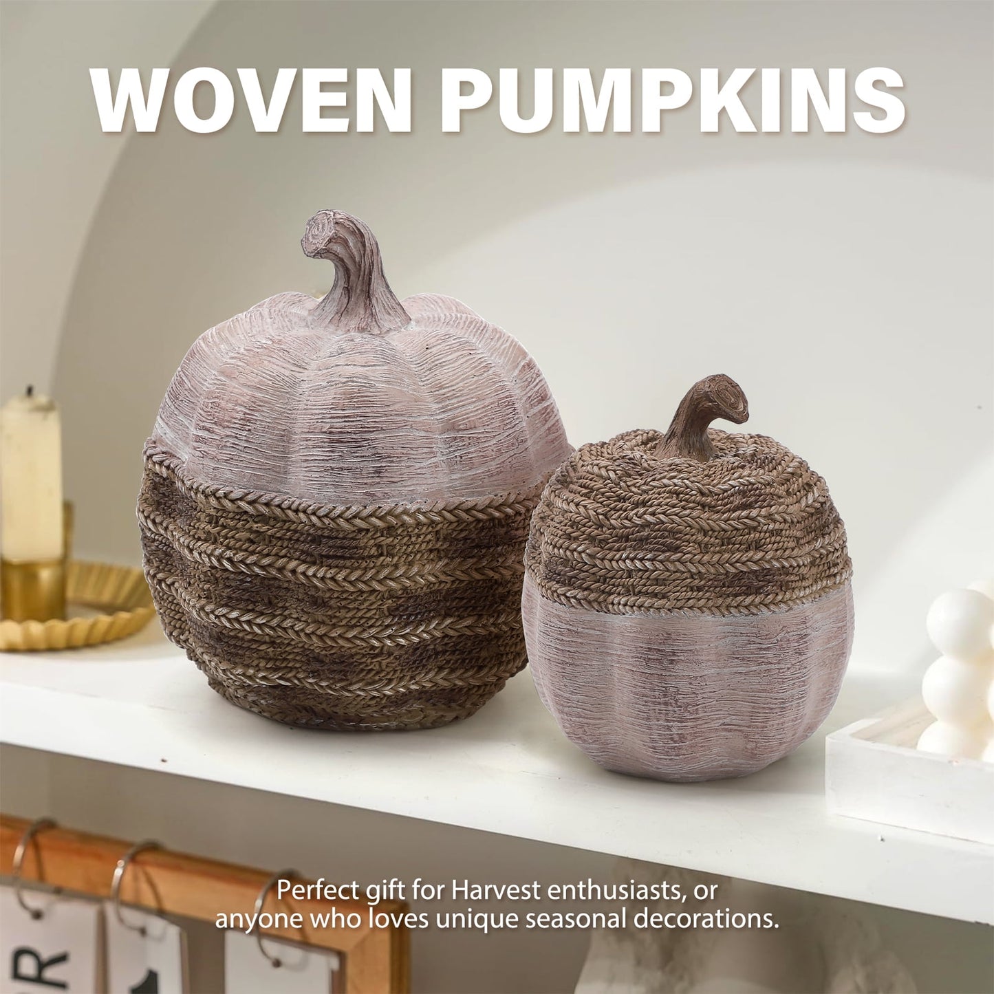 Ayieyill 2pcs Resin Pumpkin Figurines with Woven Texture Fall Decor Autumn Decor Thanksgiving Decorations for Home