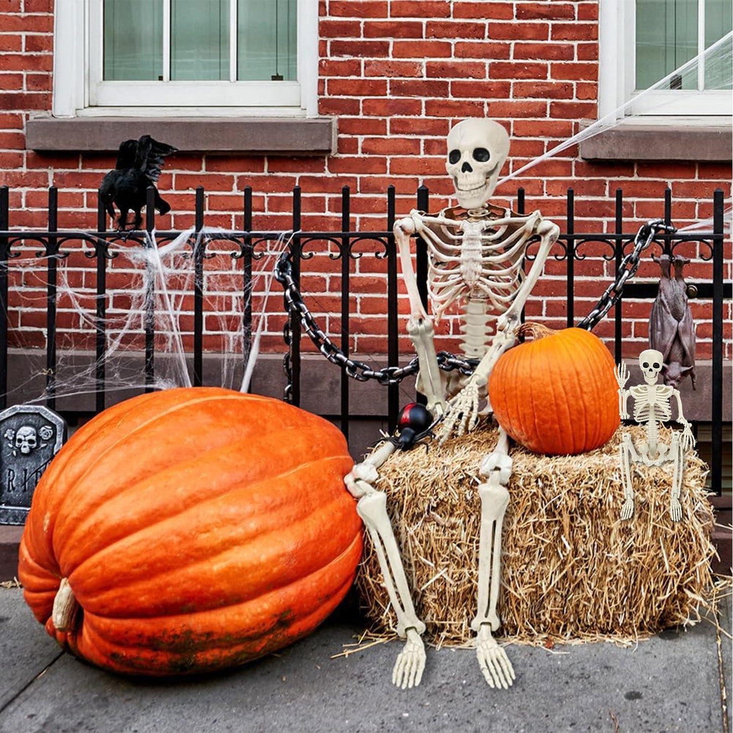 Ayieyill 2pcs Skeleton and Dog Skeleton Halloween Decorations Posable Skeletons Halloween Decorations Indoor Outdoor