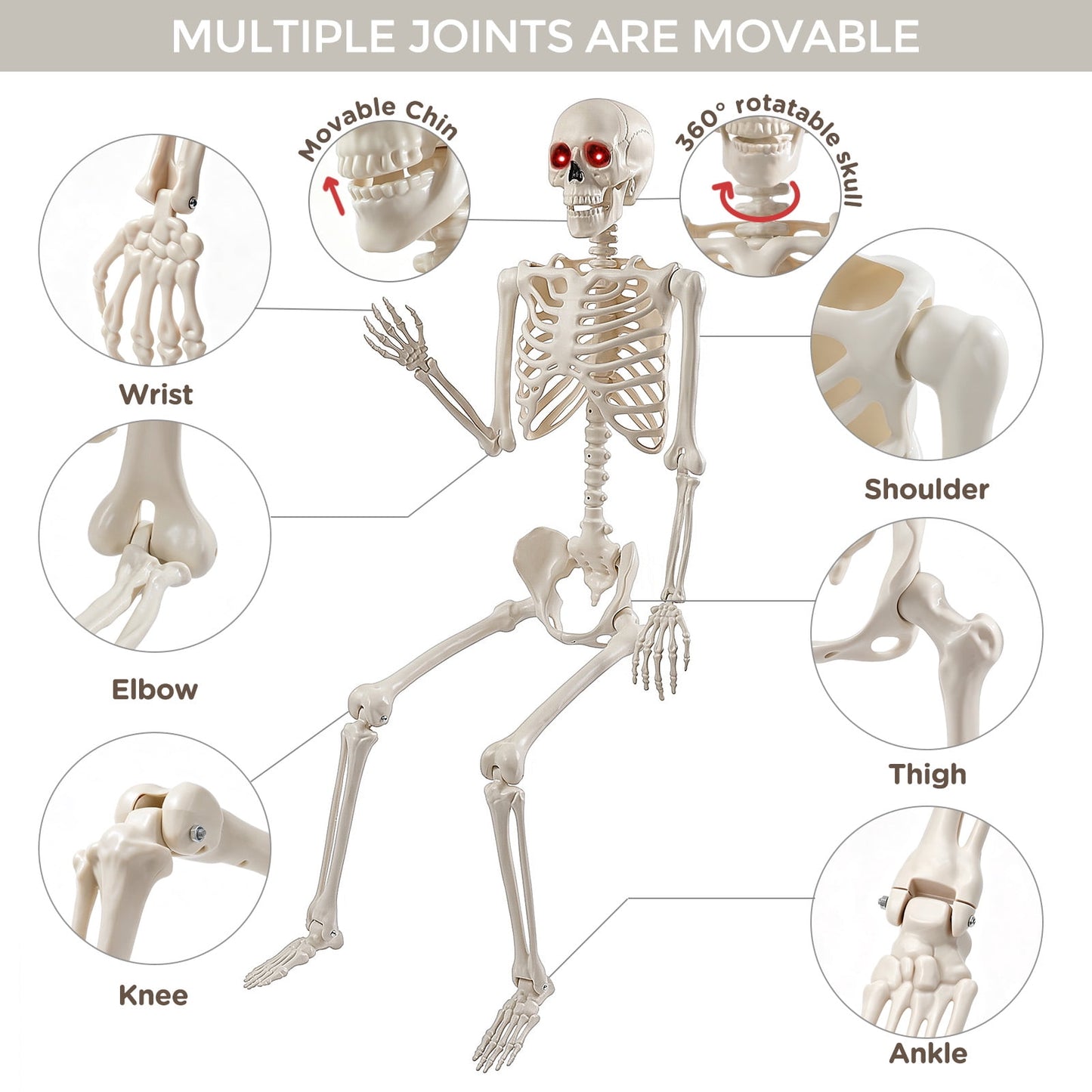 Ayieyill 65IN Halloween Skeleton Decorations, Weathered Posable Skeleton Decor for Halloween Decorations Outdoor Indoor