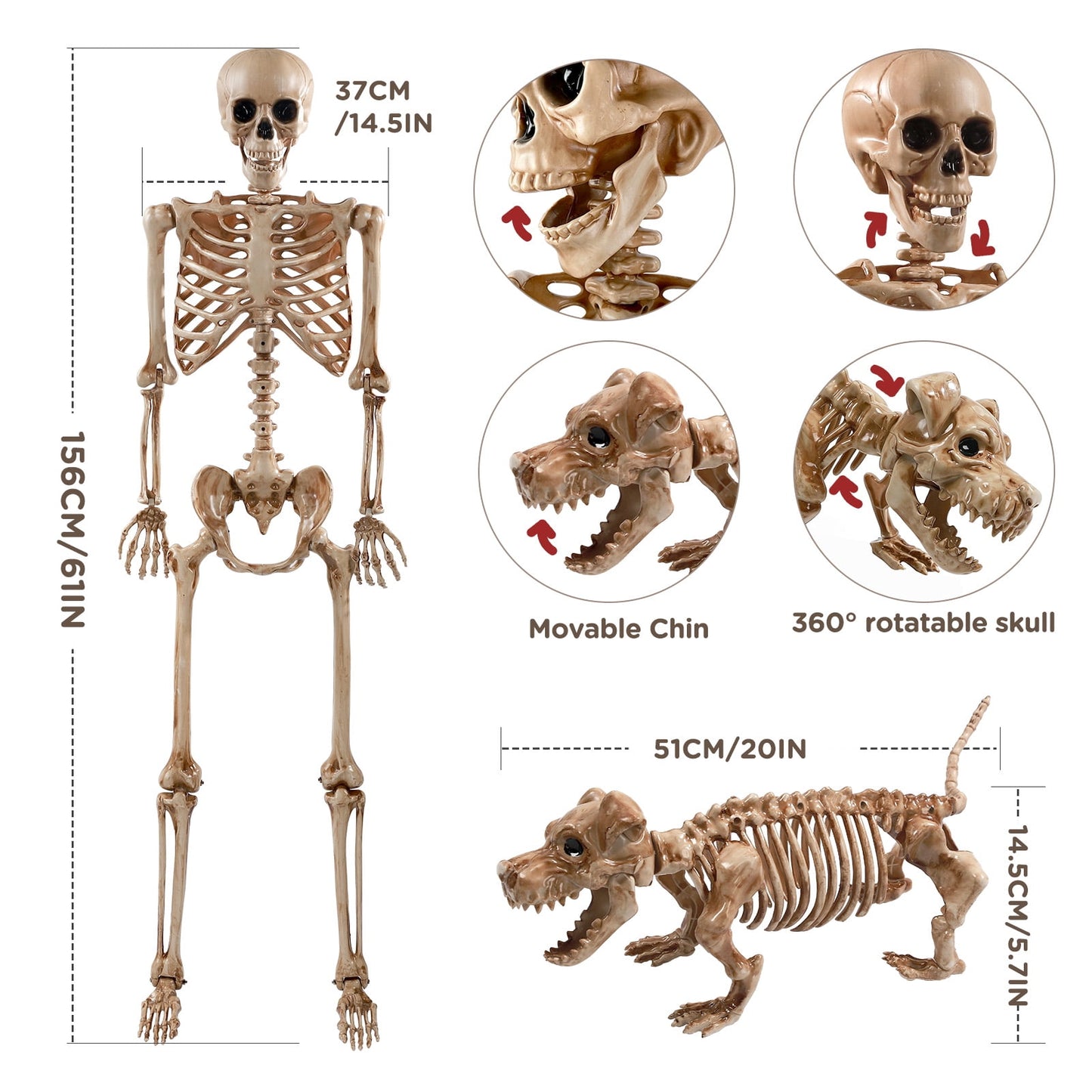 Ayieyill 65IN Halloween Skeleton Decorations, Weathered Posable Skeleton Decor for Halloween Decorations Outdoor Indoor