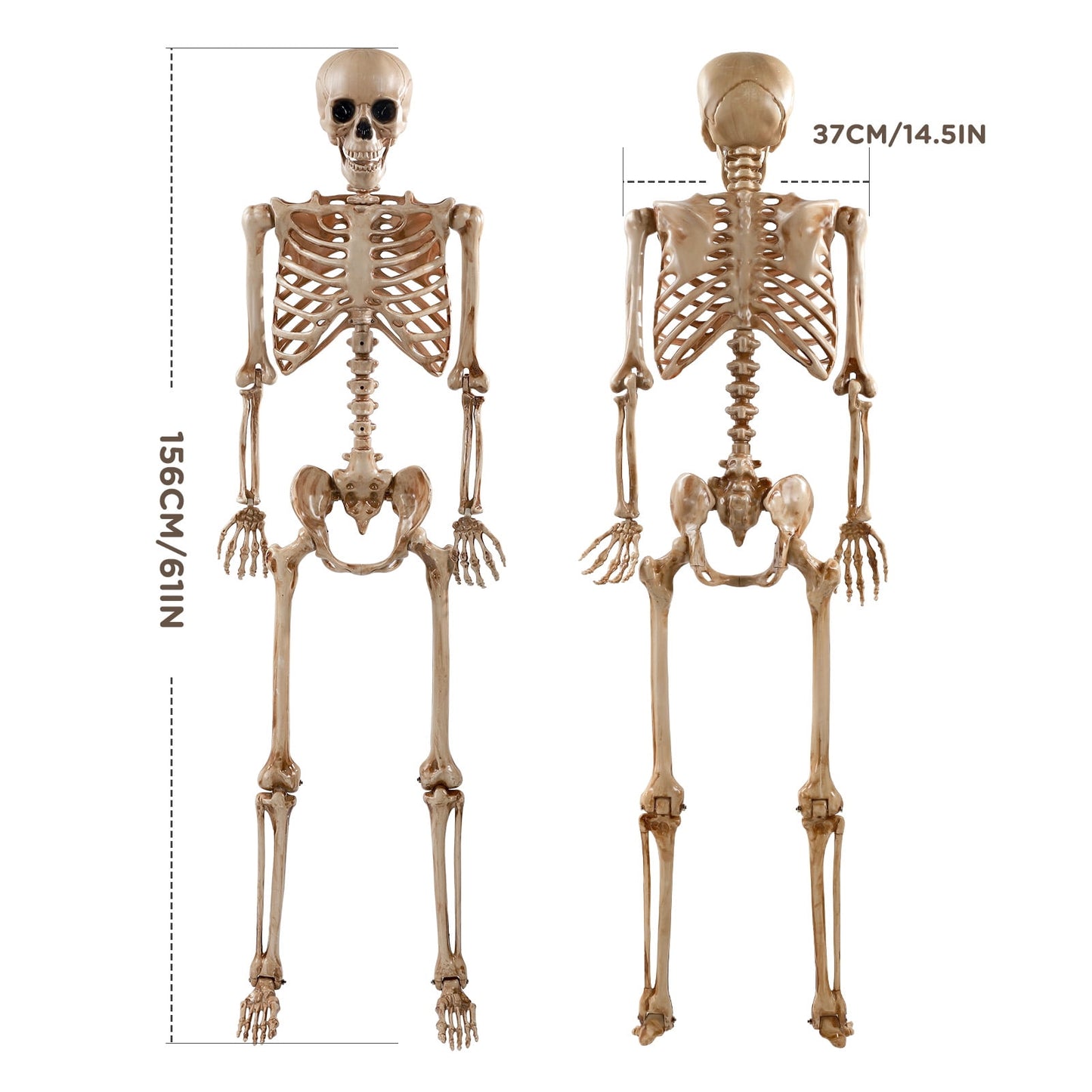 Ayieyill 65IN Halloween Skeleton Decorations, Weathered Posable Skeleton Decor for Halloween Decorations Outdoor Indoor