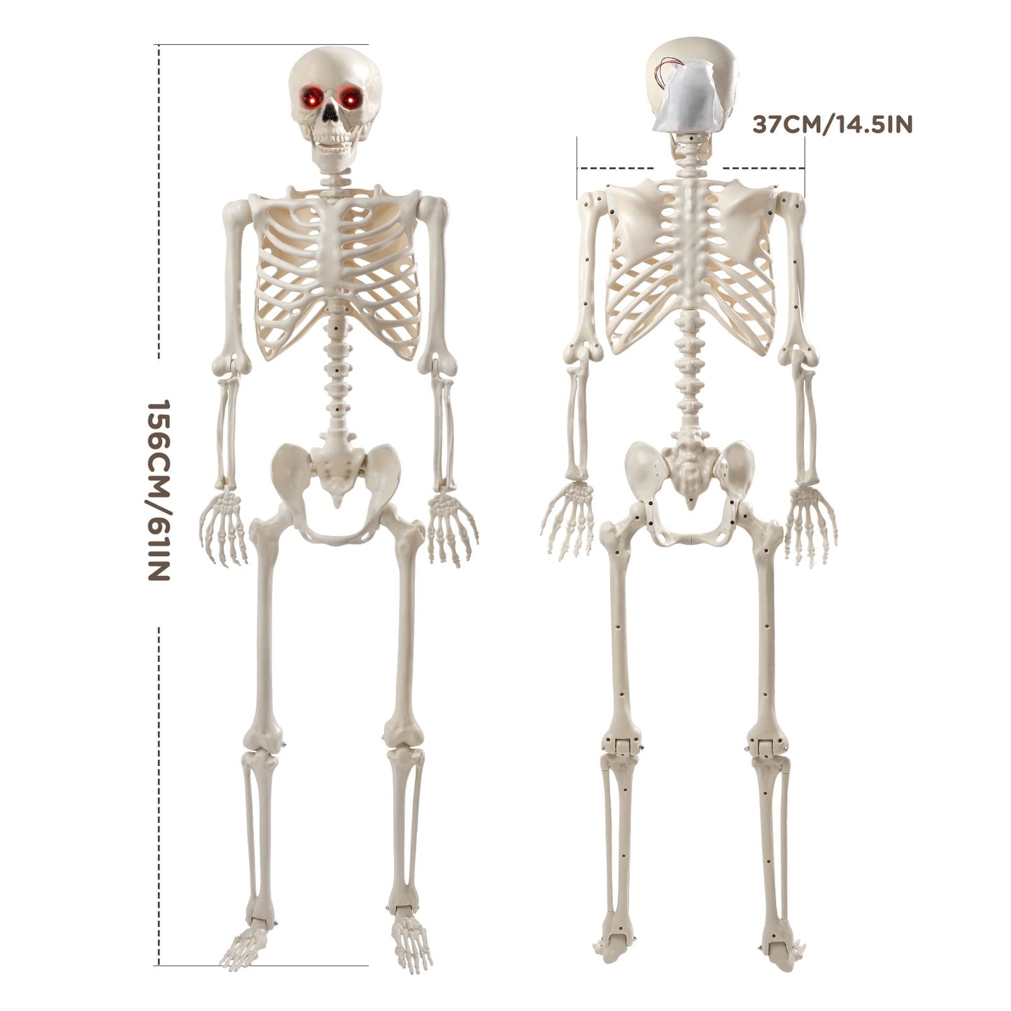 Ayieyill 65IN Halloween Skeleton Decorations, Weathered Posable Skeleton Decor for Halloween Decorations Outdoor Indoor