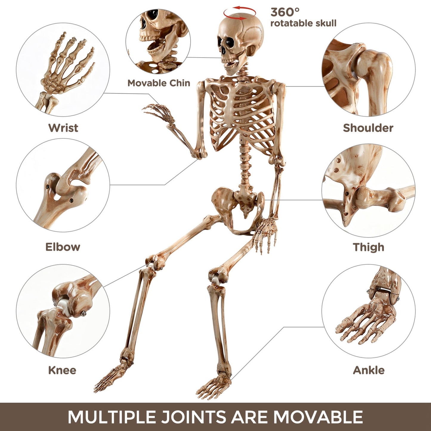 Ayieyill 65IN Halloween Skeleton Decorations, Weathered Posable Skeleton Decor for Halloween Decorations Outdoor Indoor