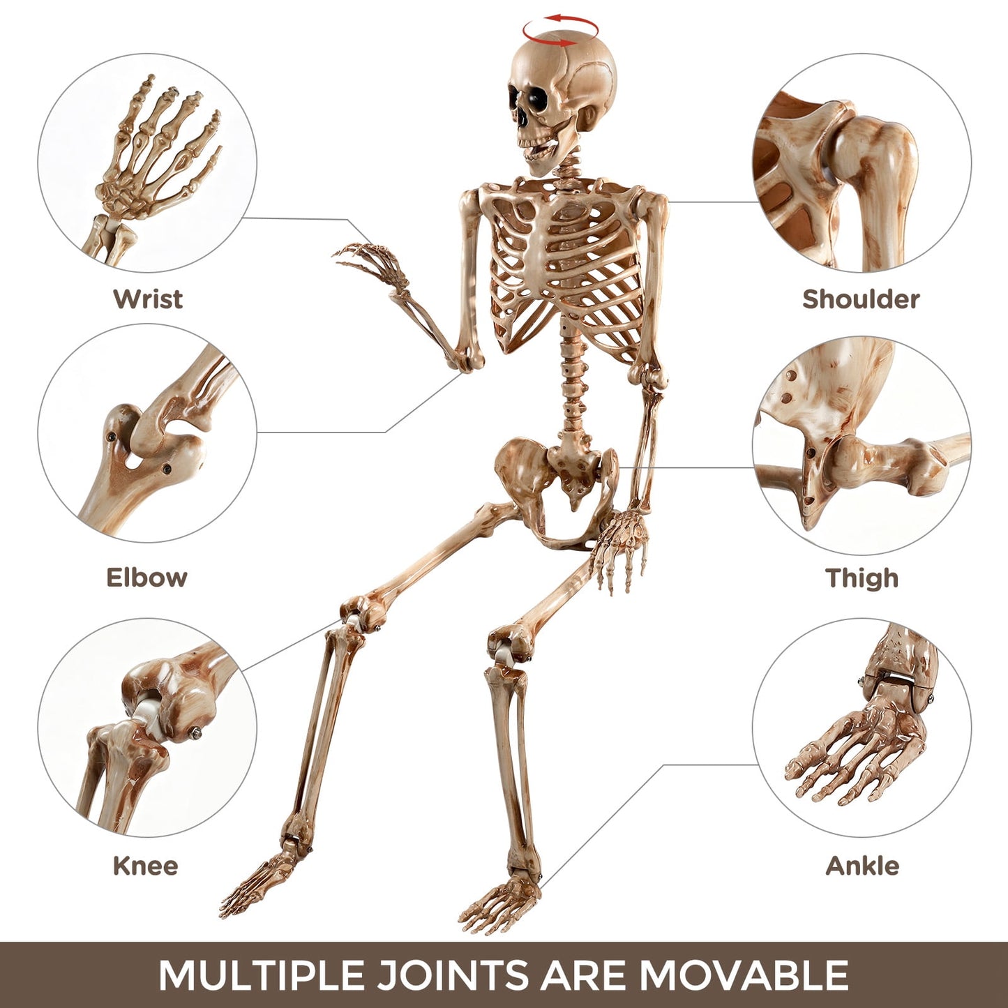 Ayieyill 65IN Halloween Skeleton Decorations, Weathered Posable Skeleton Decor for Halloween Decorations Outdoor Indoor